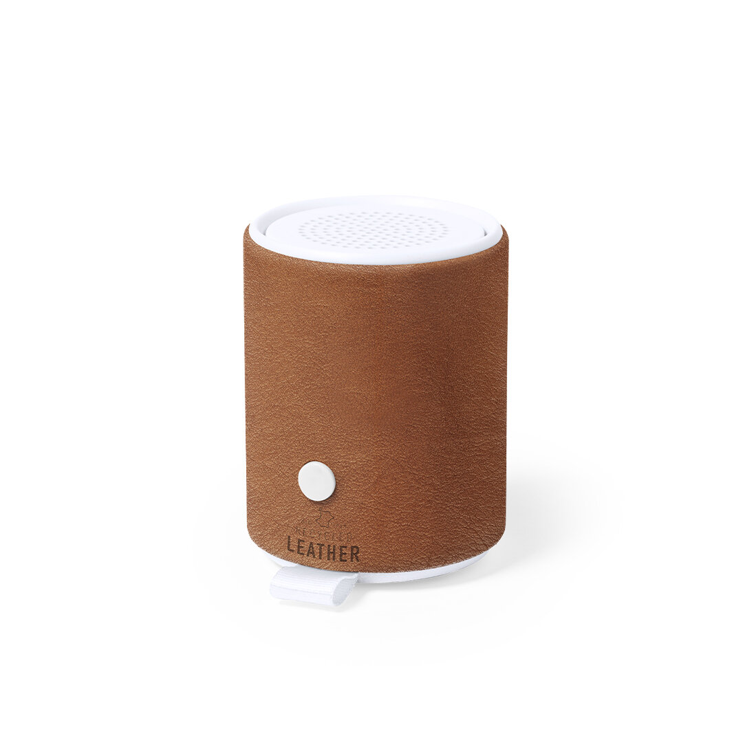 Haut-parleur Sotep RCS Haut-parleur Sotep RCS