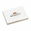 Memo Growing Paper Sticky Notes bloc-note