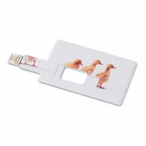 Creditcard. USB flash 16GB Memorama