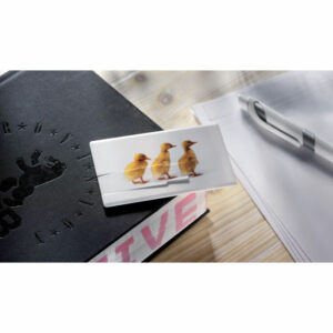 Creditcard. USB flash 16GB Memorama – vue 2