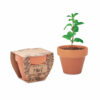 Pot avec graines de menthe Mint Pot