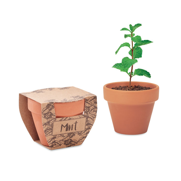 Pot avec graines de menthe Mint Pot Pot avec graines de menthe Mint Pot