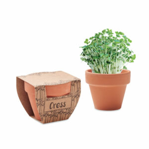Pot avec graines de cresson Cress Pot