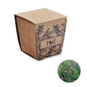 Kit de graines de menthe Mint Kit