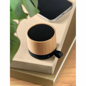 Haut-parleur 5.1 sans fil Recar Bamboo – vue 2