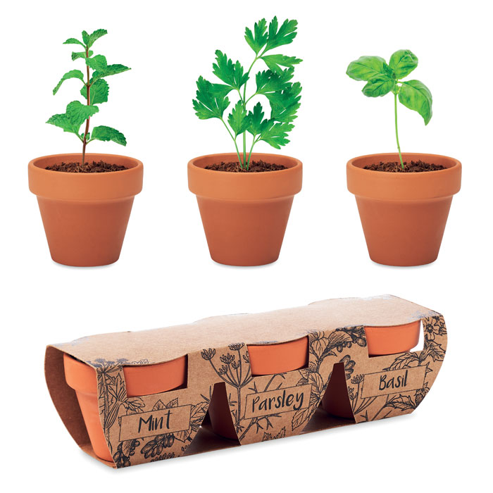 3 pots en terre Flowerpot 3 pots en terre Flowerpot