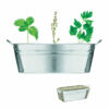Bac en zinc & herbes aromatique Mix Seeds