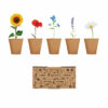 Kit de culture de fleurs Flowers