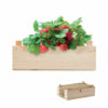 Graines de fraises dans une cai Strawberry