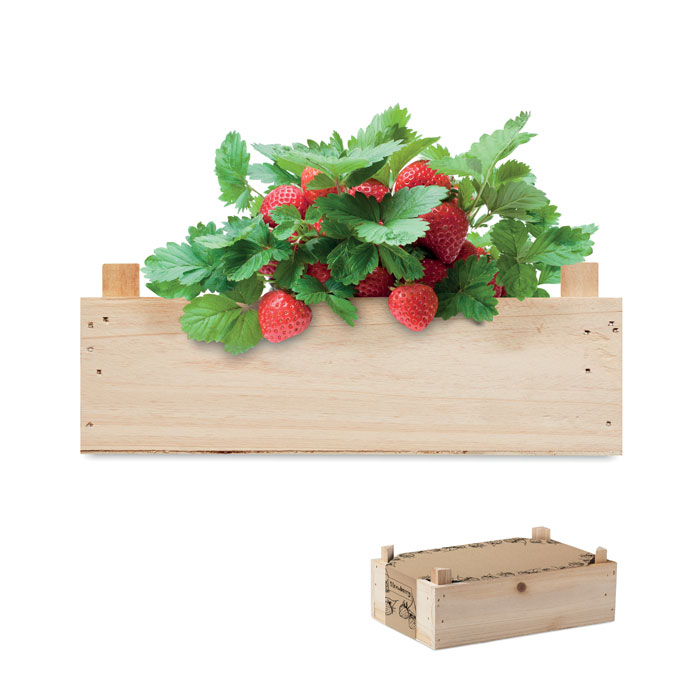 Graines de fraises dans une cai Strawberry Graines de fraises dans une cai Strawberry