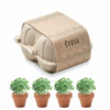 Kit de culture de cresson Cress