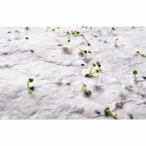 Papier A6 graines de fleurs Asido – vue 2