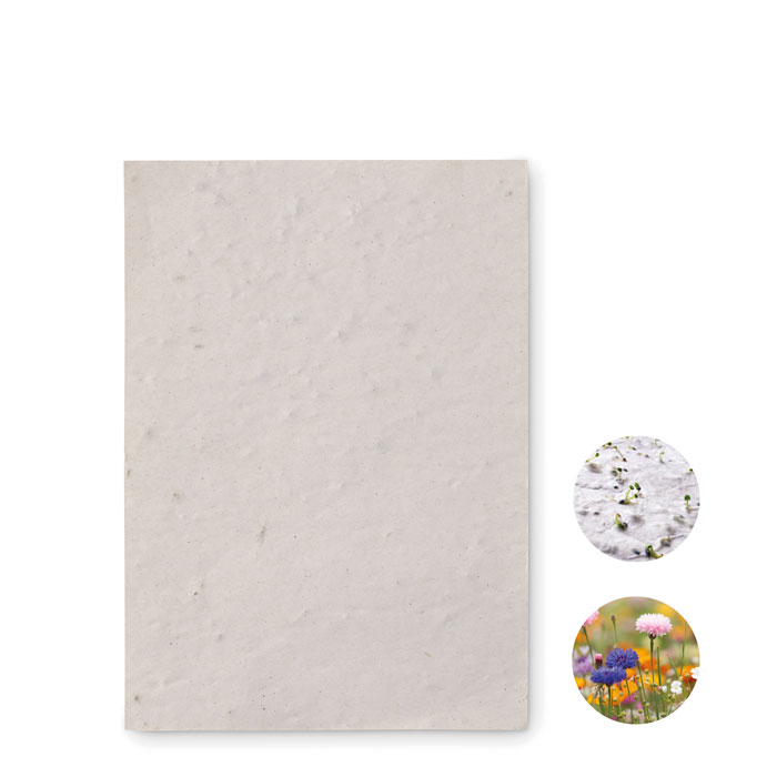 Papier A6 graines de fleurs Asido Papier A6 graines de fleurs Asido