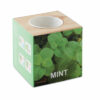 Pot en bois avec graine Menta