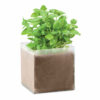 Substrat avec graines Basilic. Basil