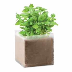 Substrat avec graines Basilic. Basil