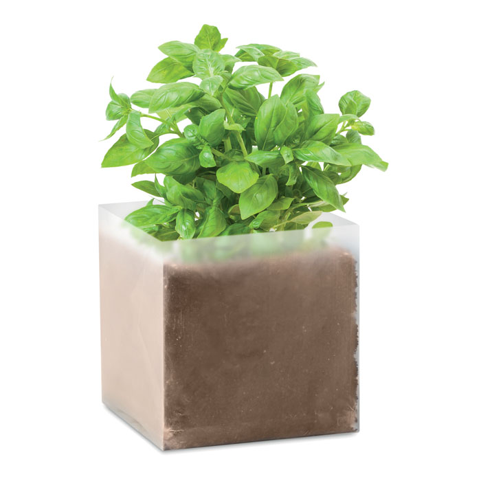 Substrat avec graines Basilic. Basil Substrat avec graines Basilic. Basil