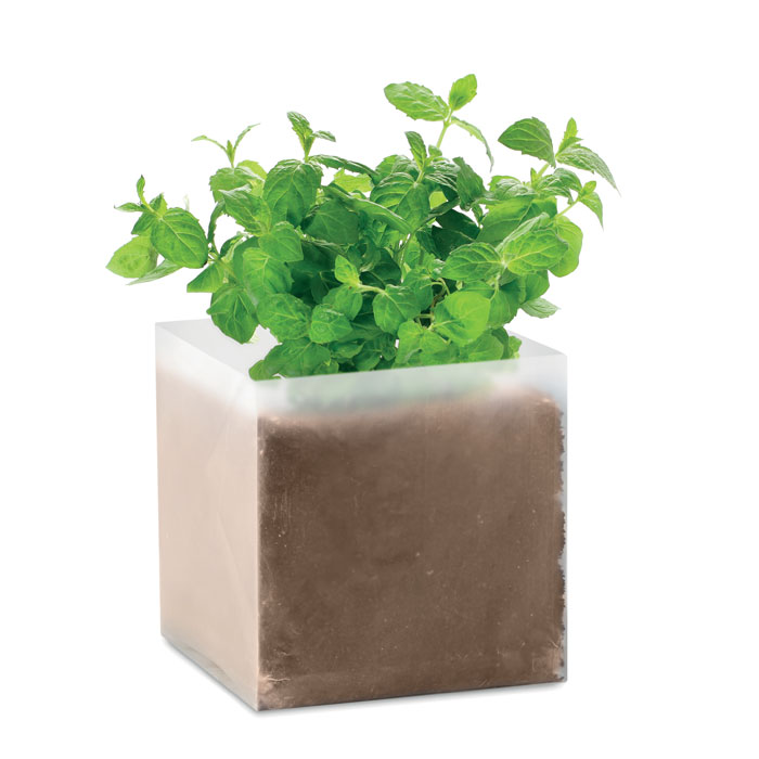Substrat avec graines Menthe Mint Substrat avec graines Menthe Mint