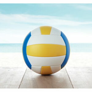 Ballon de Volley – vue 2