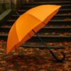 Parapluie golf SING'IN
