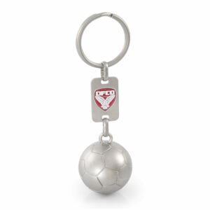Porte-clés foot ou rugby 3D avec plaque personnalisée