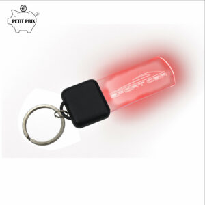 Porte-clés ledpulse®