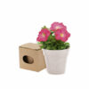 Pot de fleurs Advert