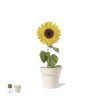 Pot de fleurs Tumil