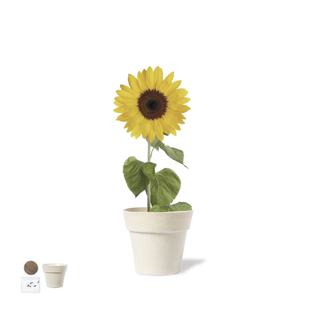 Pot de fleurs Tumil Pot de fleurs Tumil
