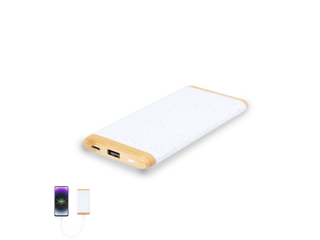 Power bank Coquin Power bank Coquin