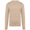Pull col V homme Kariban K965