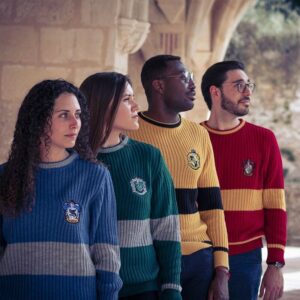 Pull Tricot Harry Potter Maison Poudlard - Lot de 10