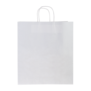 Sac kraft 19l
