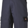 Short EVERYDAY homme Dickies DK0A4XSG