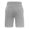 Short Iconic 250 Fruit of the Loom SC64066