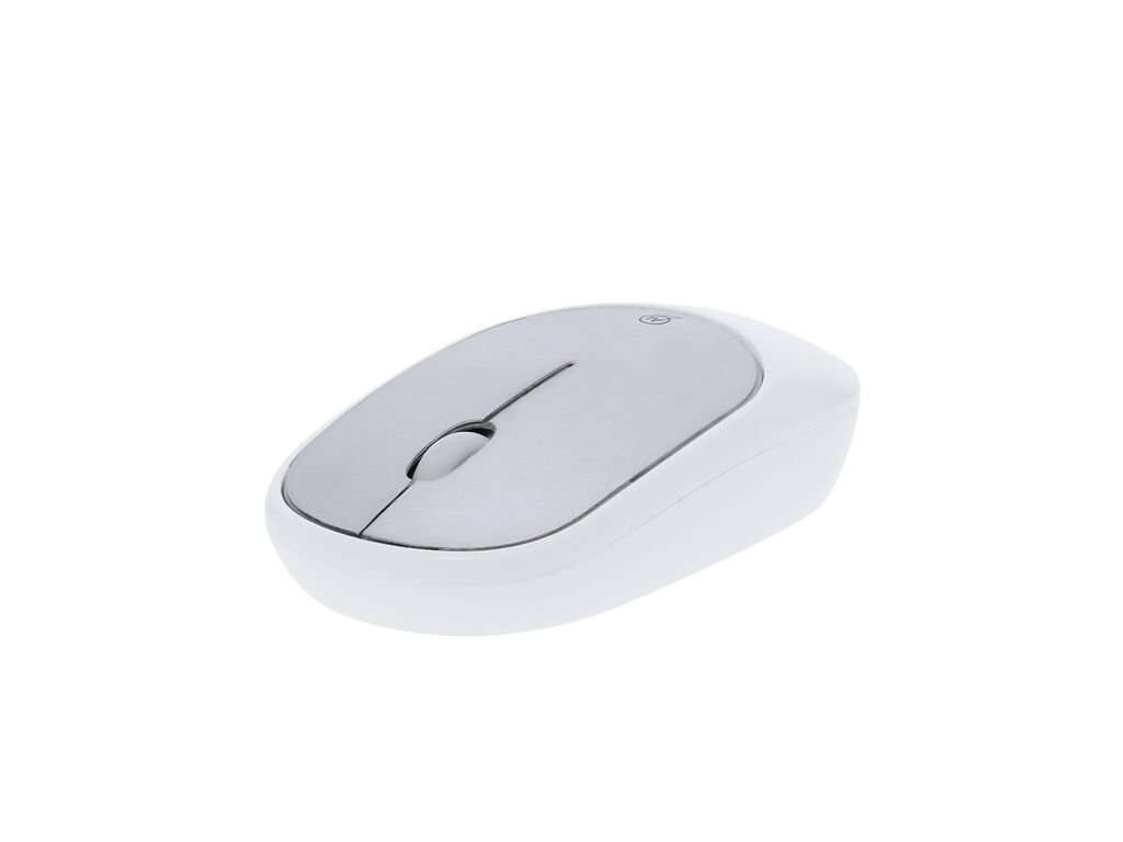 Souris Doryt RCS Souris Doryt RCS