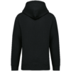 Sweat-shirt écoresponsable à capuche  à épaules tombantes French Terry unisexe Native Spirit NS431