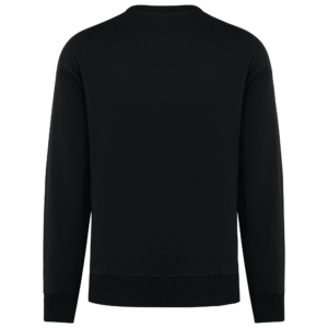 Sweat-shirt écoresponsable à col rond oversize unisexe Native Spirit NS440