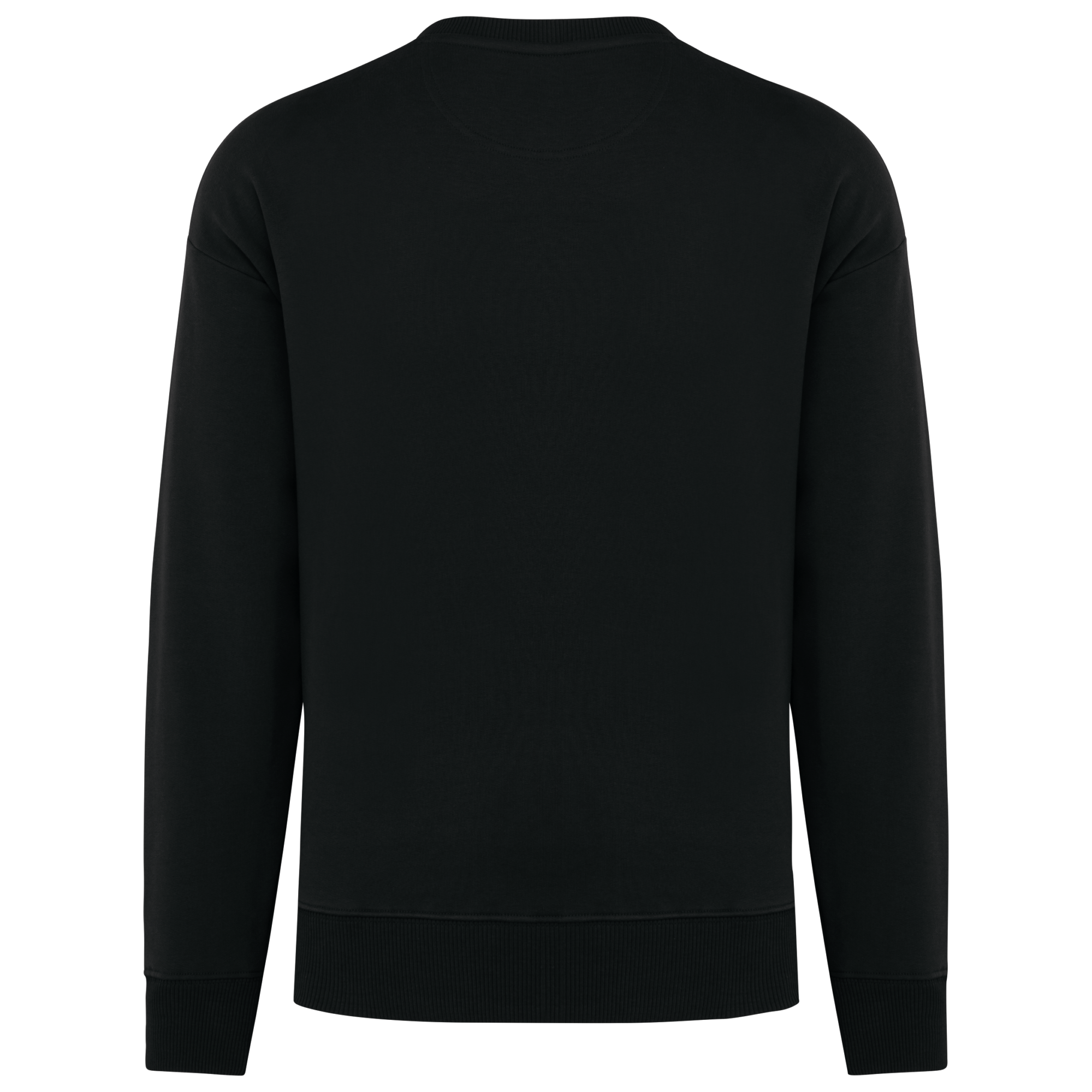Sweat-shirt écoresponsable à col rond oversize unisexe Native Spirit NS440 Sweat-shirt écoresponsable à col rond oversize unisexe Native Spirit NS440