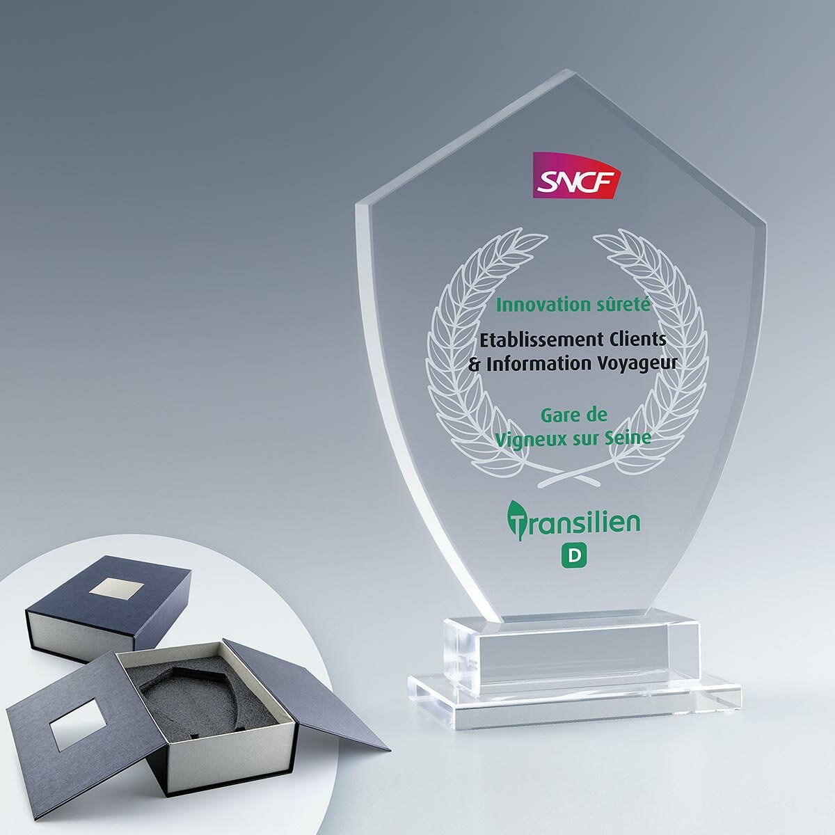 Trophée en verre personnalisé Emblème sur socle Trophée en verre personnalisé Emblème sur socle