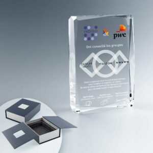 Trophée Facetté en Verre Personnalisable