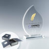 Trophée Flamme en Verre sur Socle