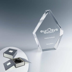 Trophée Personnalisable 16 cm Prestige
