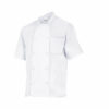 Veste de cuisinier en polycoton Velilla De Manches Courtes