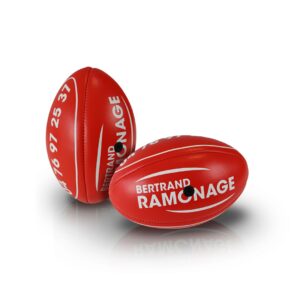 Mini ballon de rugby personnalisé – vue 4